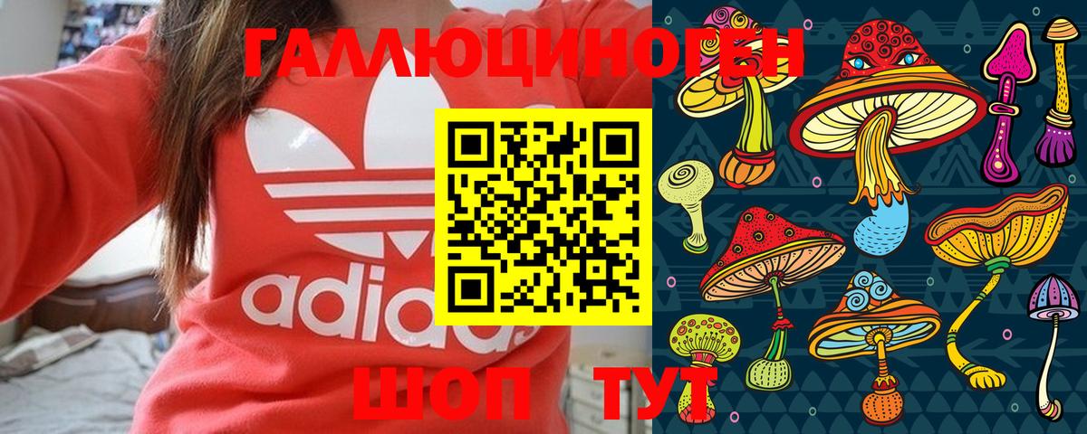 Каменск-Уральский  Псилоцибиновые грибы Magic Shrooms  Вход с VPN 